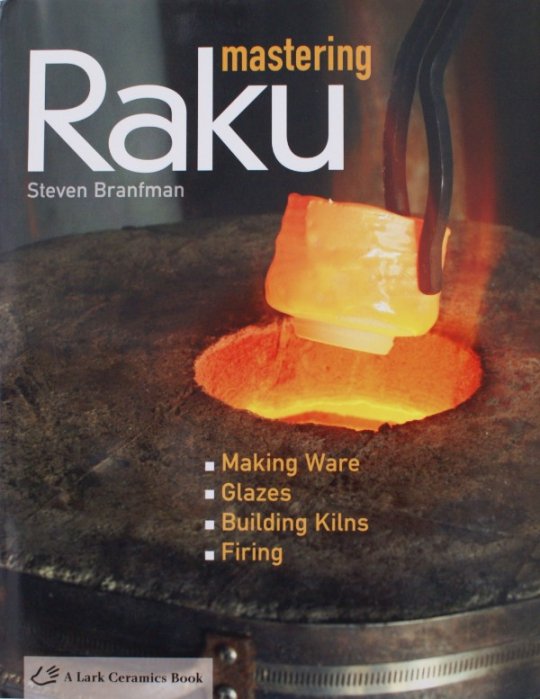 Steven Branfman: Mastering Raku.jpg
